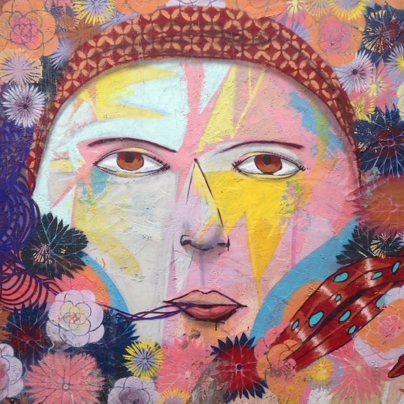 Face with flowers murale