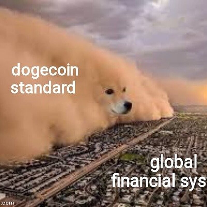 Dogecoin vs Financial System Meme by Elon Musk