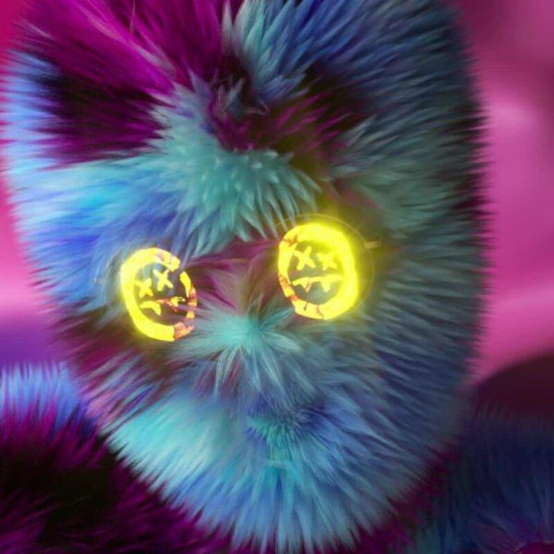 Hairy by Steve Aoki and Antoni Tudisco