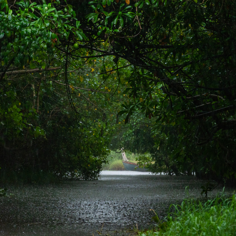 rain on the river