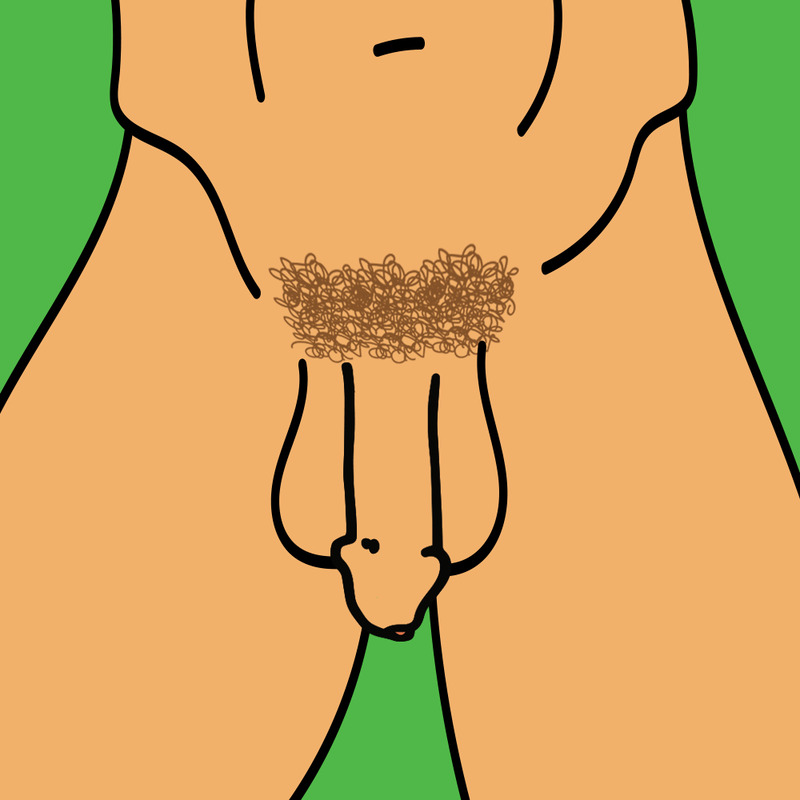 Uncircumcised Penis Shape