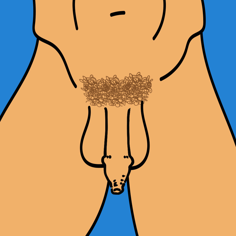 Uncircumcised Penis Extra Foreskin Shape