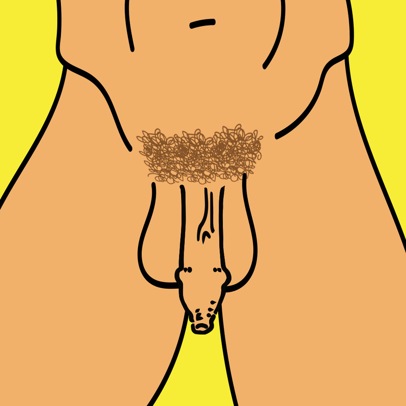 Uncircumcised Penis Extra Foreskin Veins Shape