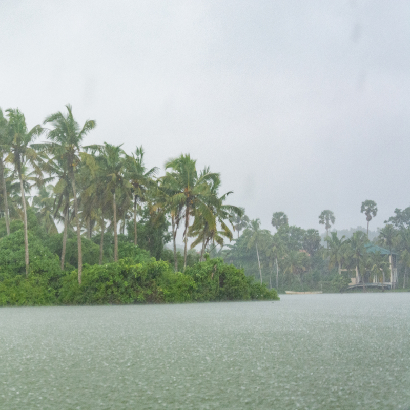 rain on the river