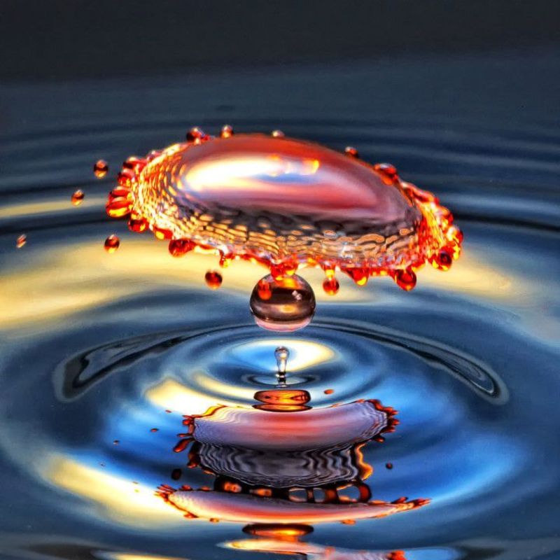 Water Drop Art 3 by Mark Hilliard.