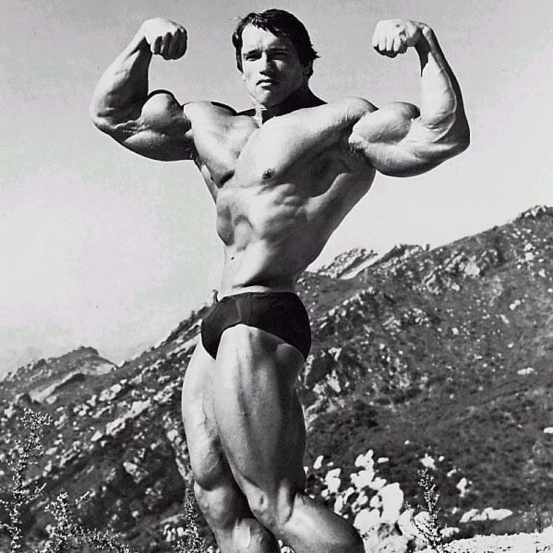 Arnold Schwarzenegger (1970-1975 and 1980)