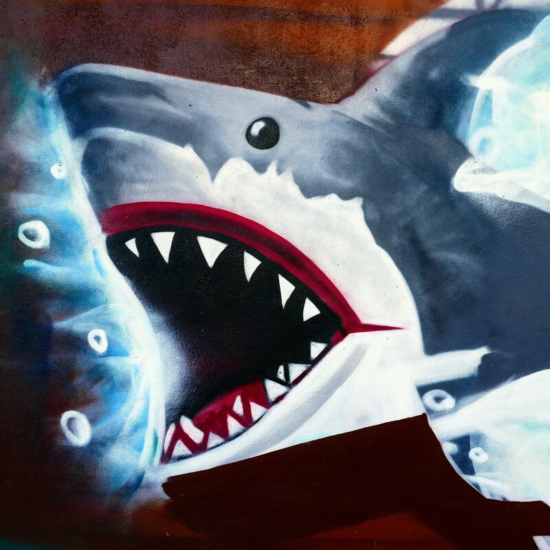 Roaring Shark